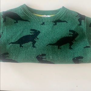 Boy sweater